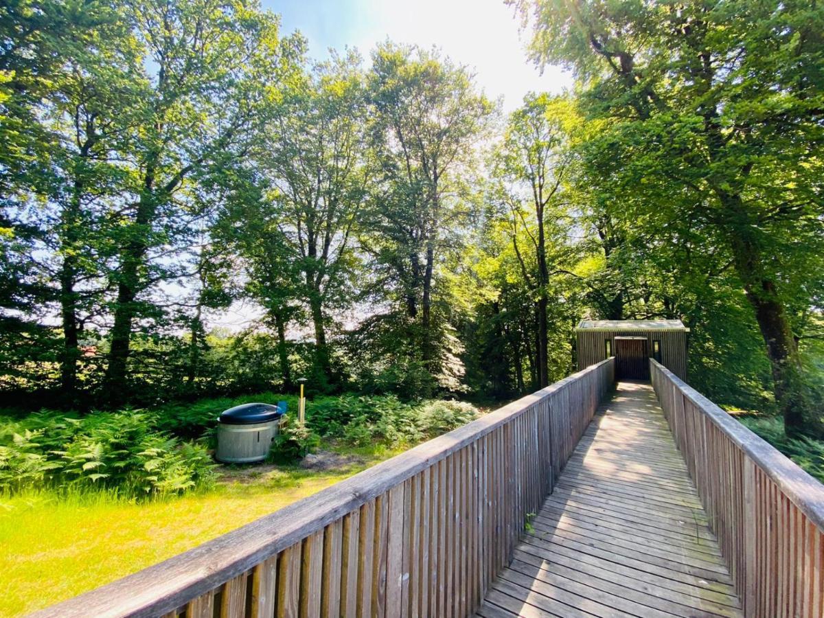 L'Etape En Foret Saint-Sever-Calvados Kültér fotó