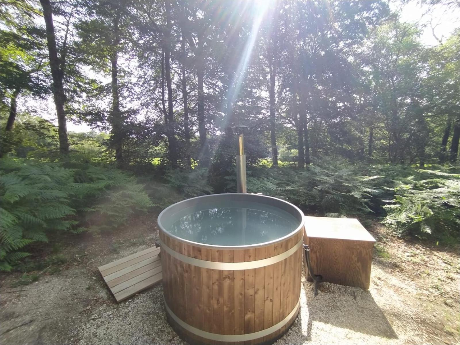 L'Etape En Foret Saint-Sever-Calvados Kültér fotó