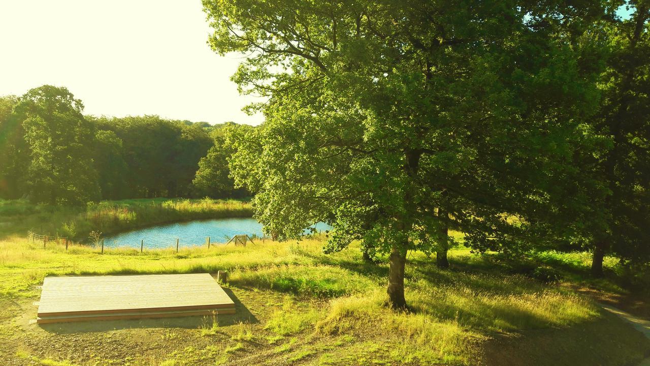 L'Etape En Foret Saint-Sever-Calvados Kültér fotó