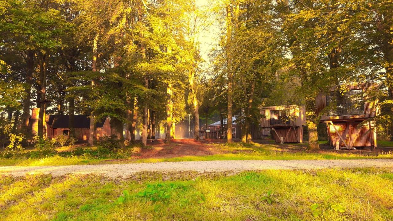 L'Etape En Foret Saint-Sever-Calvados Kültér fotó