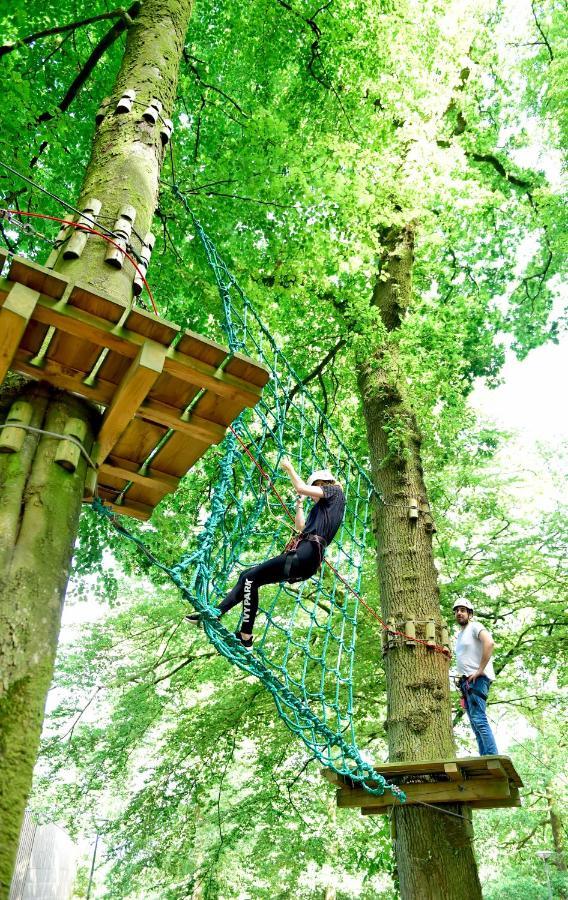 L'Etape En Foret Saint-Sever-Calvados Kültér fotó